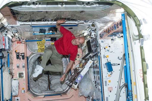 Parmitano in the Node 1 module