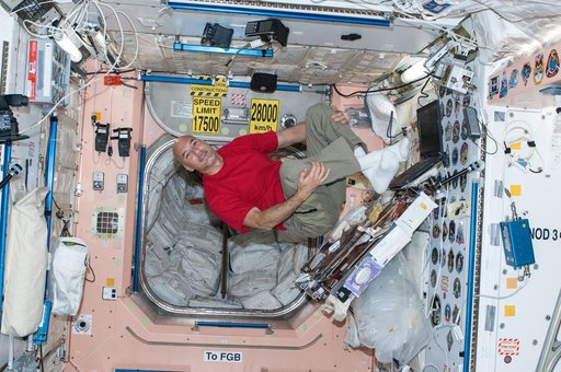 Parmitano in the Node 1 module