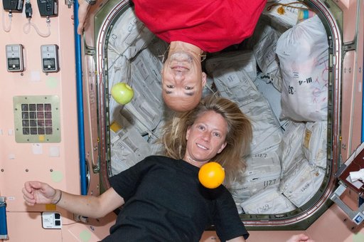 Nyberg and Parmitano in the Node 1 module