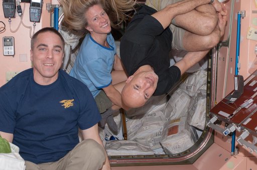 Expedition 36 flight engineers in Node 1