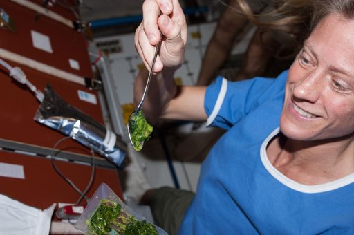 Meal in the Node 1 module