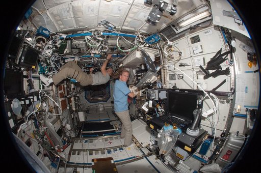 Nyberg and Parmitano in U.S. Laboratory