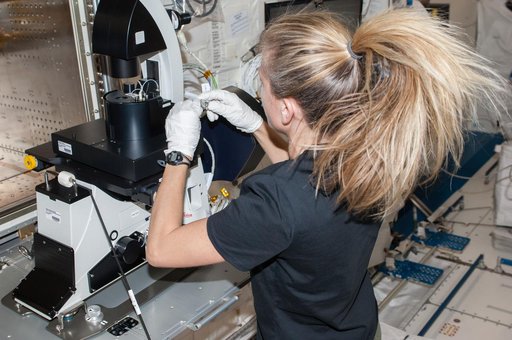 Nyberg in JEM (Kibo) with MSPR fluorescence microscope.