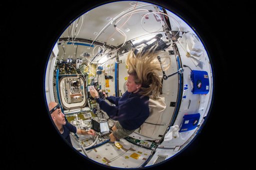 Fisheye (wide lens) view from Cupola