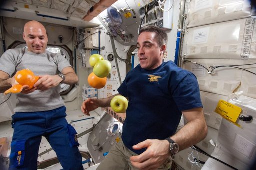 Parmitano and Cassidy with fruit in Node 1 module