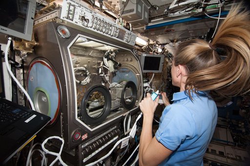 InSpace installation