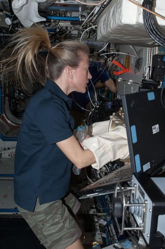 Nyberg working with ACE in U.S. Laboratory