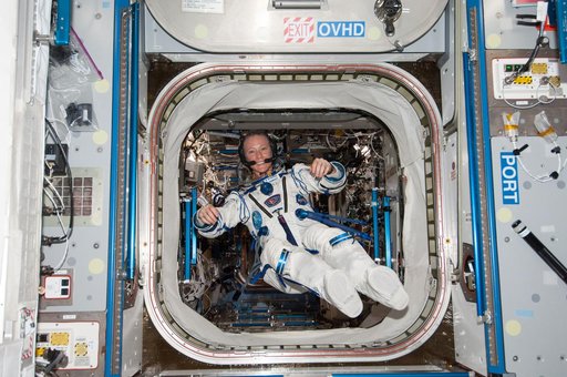 Nyberg in Sokal suit