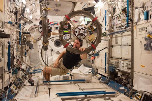 Hopkins with SPHERES RINGS