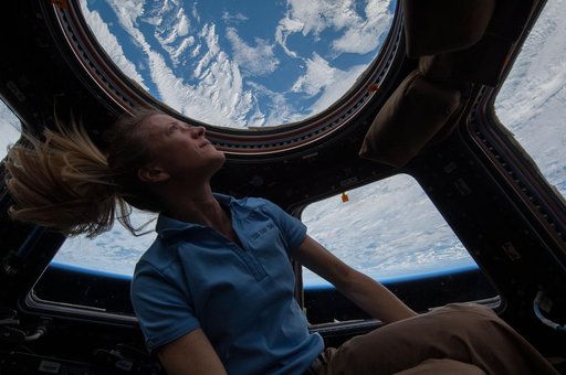 Nyberg in Cupola