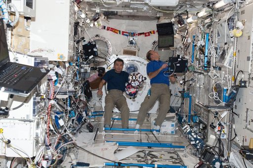 Wakata and Mastracchio during SPHERES session