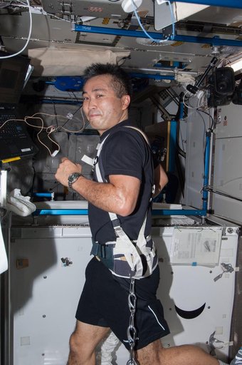 Wakata exercises on the COLBERT