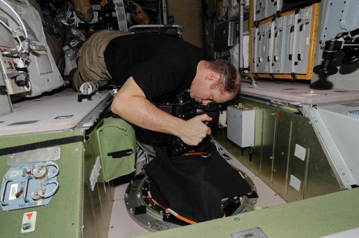 Kotov during Albedo Experiment in the SM