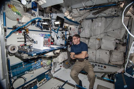 Hopkins during CFE-2 Experiment