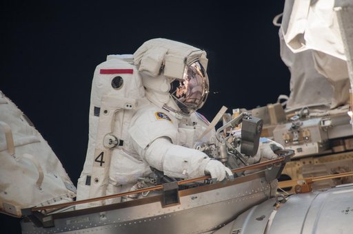 EVA 24