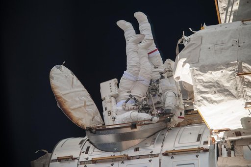 EVA 24