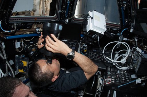 Cygnus Operations in the Cupola