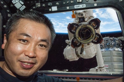 Wakata in the Cupola Module
