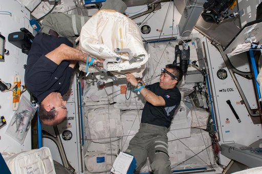 Mastracchio and Wakata during Cygus Cargo Preparation in the Node 2