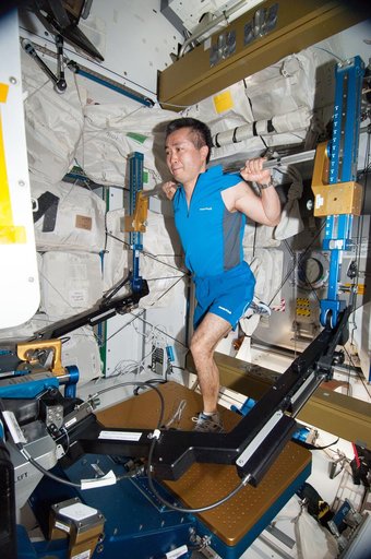 Wakata exercises on the aRED