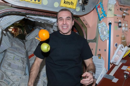Mastracchio watches fruit in the Node 1