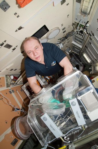 Kotov works with the bioscience experiment ASEPTIC