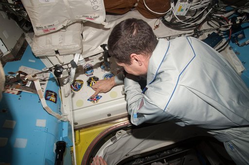 Hopkins during Expedition 38 Patch Signing