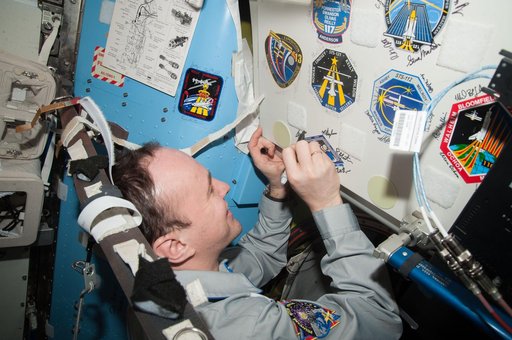 Ryazanskiy during Expedition 38 Patch Signing