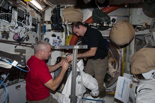 Swanson and Mastracchio conduct EMU FPS Remove and Replace OPS