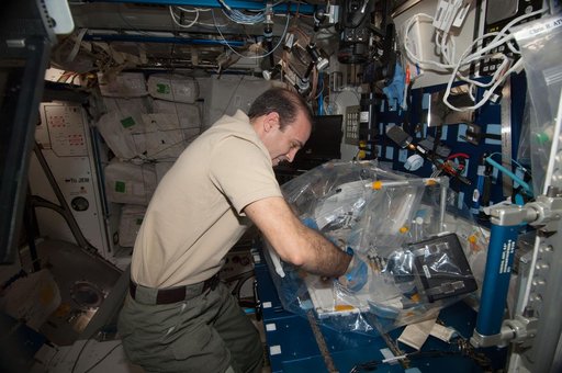 Micro-7 BioCell Habitat Fixation Operations