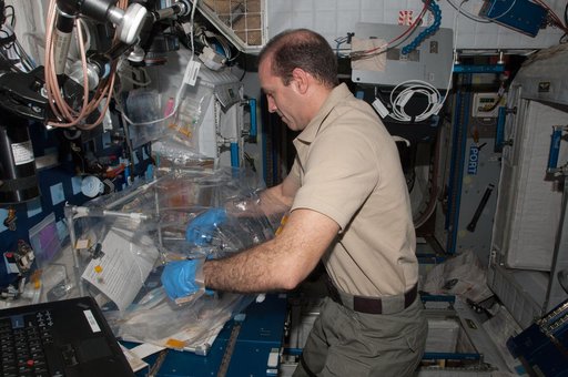 Micro-7 BioCell Habitat Fixation Operations