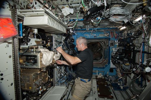 Swanson configures LMM for CARA-Petri Plant Experiment