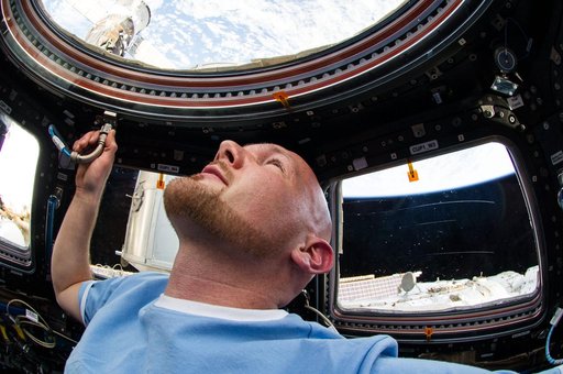 Gerst in Cupola