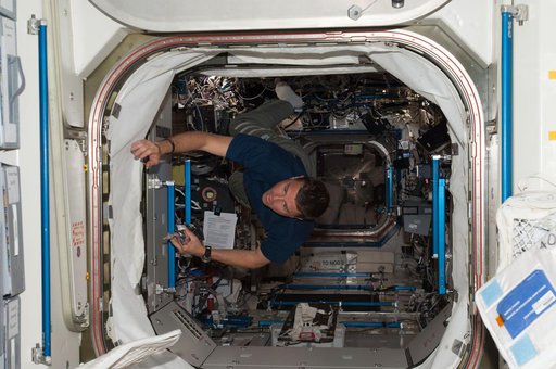 Wiseman in hatch between U.S. Lab and Node 1