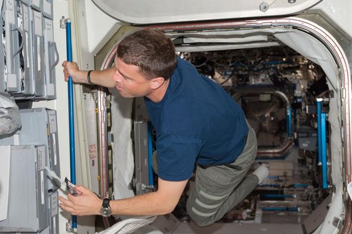 Wiseman in hatch between U.S. Lab and Node 1