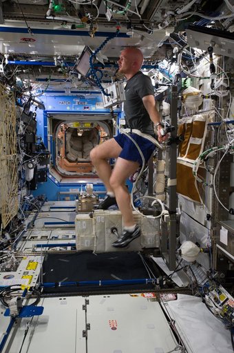 Gerst in U.S. Laboratory