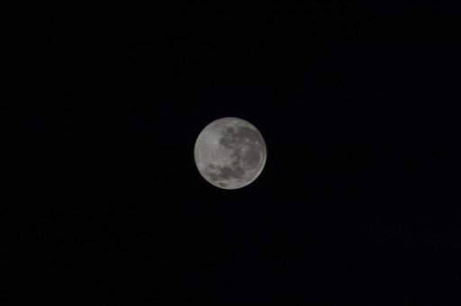 Moon