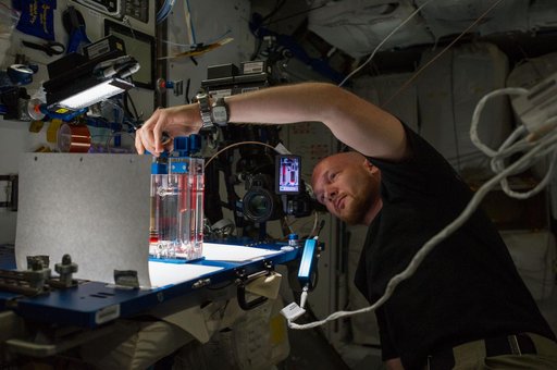 Capillary Flow Experiment