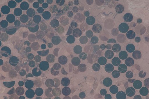 Earth Observation