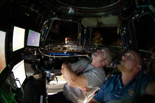 Cygnus capture