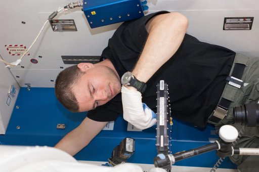 Wiseman conducts BCAT-C1 experiment