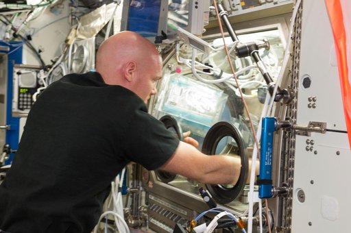 Gerst during BASS-II experiment