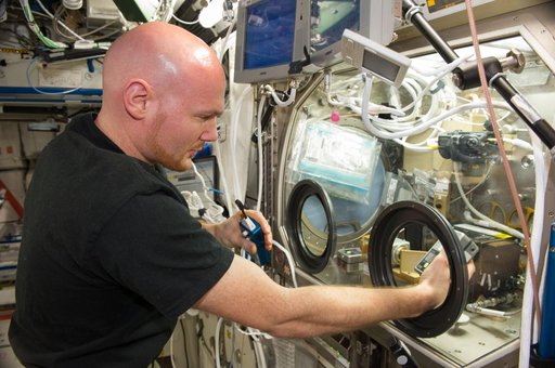 Gerst during BASS-II experiment