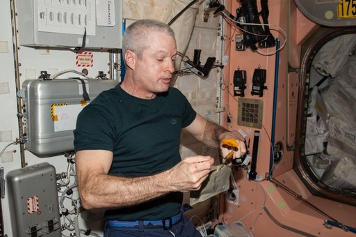Swanson in Node 1