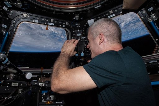 Swanson in Cupola
