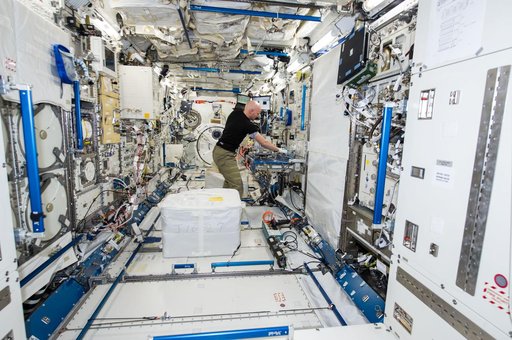 Gerst installs CMS-2 in KIBO rack
