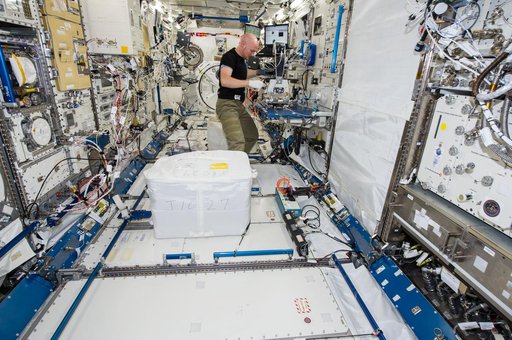 Gerst installs CMS-2 in KIBO rack