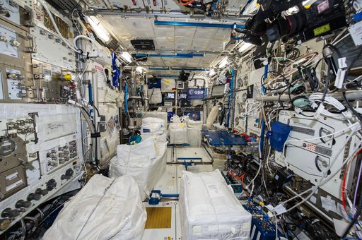 Columbus Module