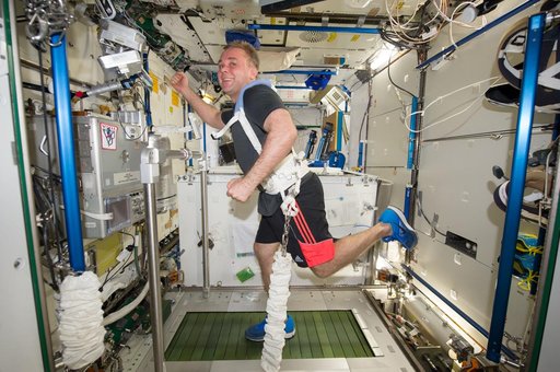 Suraev exercises on the COLBERT / T2 Treadmill in the Node 3