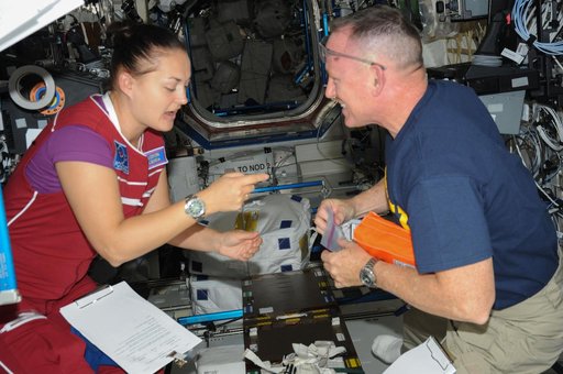 Serova and Wilmore working in the U.S. Laboratory